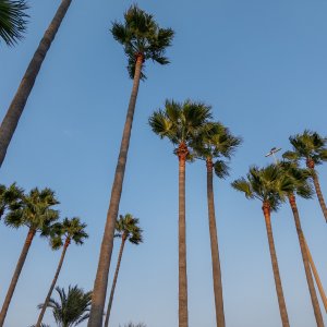 IMG_8633.JPG