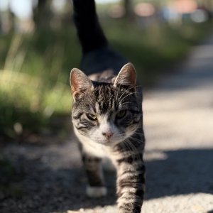 IMG_3390.jpeg