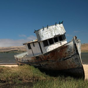 IMG_4138sf2k.jpg