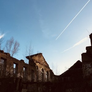 IMG_2683.jpeg