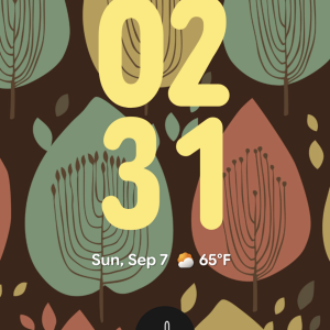 Screenshot_20250907-143112.png