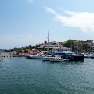 IMG_9005.JPG