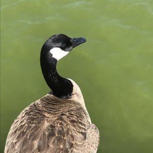 IMG_4348.jpeg