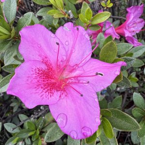 IMG_3592.jpeg