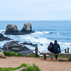 Punta de Lobos.jpg