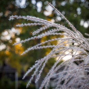 C75FE67D-958E-42EC-81A7-DB277A32D004.jpeg