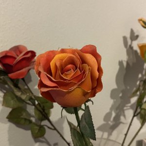 2FDC80E1-0298-417B-AA1A-FB25EABB7202.jpeg