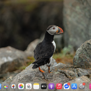 First Tahoe Screenshot.png