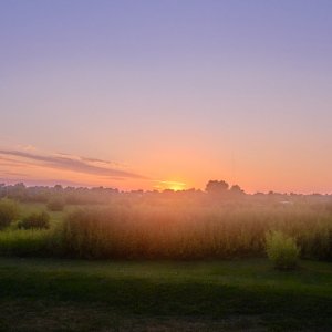 DSCF9054.jpg