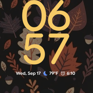 Screenshot_20250917-185749.png