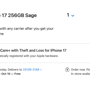 Screenshot 2025-09-18 at 12-35-44 Bag - Apple.png
