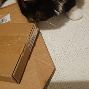 IMG-20250919-WA0060.jpeg