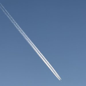 IMG_0013.jpeg