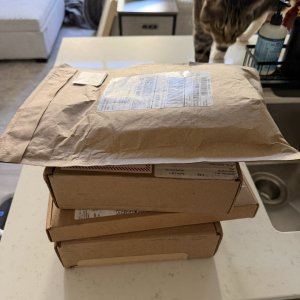 IMG_1550.jpeg
