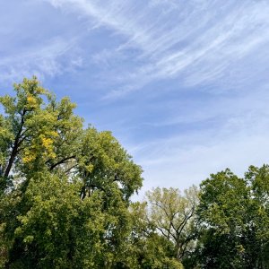 IMG_0053.jpeg