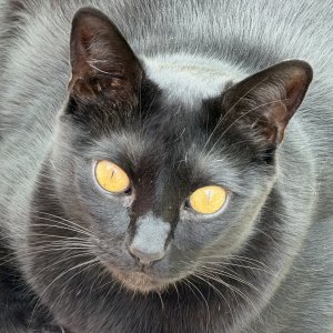 IMG_7793.jpeg
