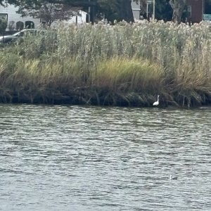 IMG_0983.jpeg