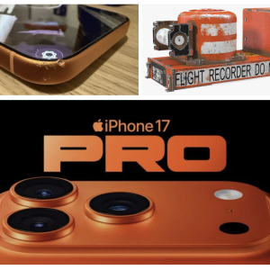 pro.png