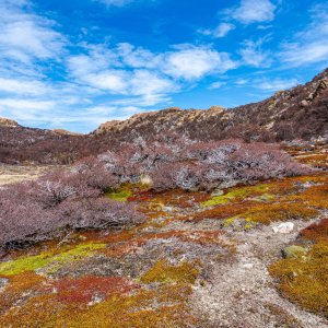 Los Glaciares National Park.jpg