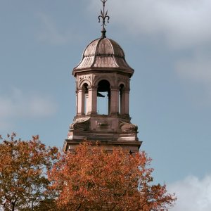 IMG_0085.jpeg