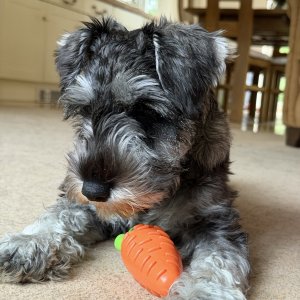 IMG_0013.jpeg