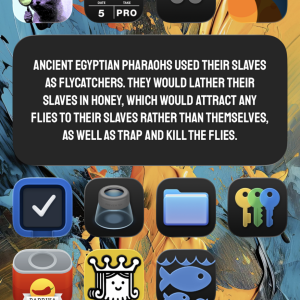 IMG_0116.png