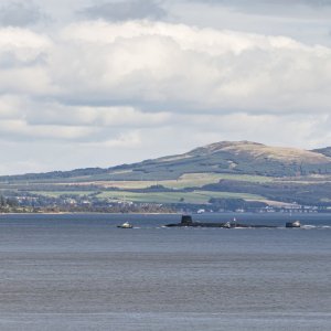Clyde20250922-2.jpg