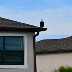 DSC_0182.jpeg