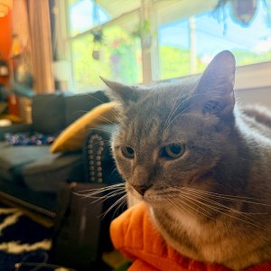 IMG_0202.jpeg