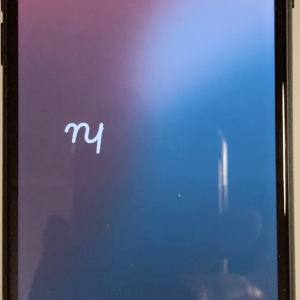 Messed up iPhone SE.mov