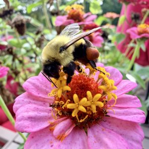 IMG_7437.jpeg