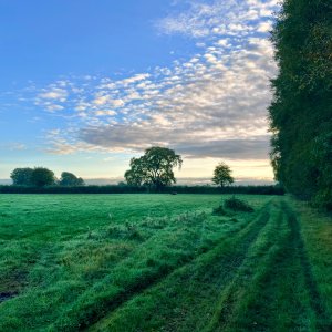 IMG_0272.jpeg