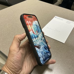 IMG_4586.jpeg