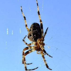 IMG_0381.jpeg