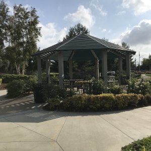 IMG_5146.jpeg