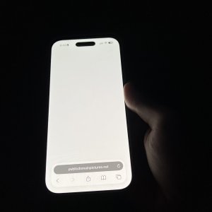 IMG_0264.jpeg