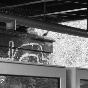 IMG_0170.jpeg