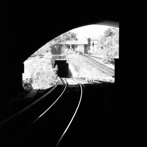 IMG_0174.jpeg