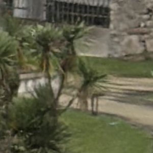 IMG_0105.png