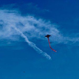IMG_2113.jpeg