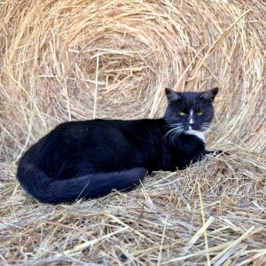 IMG_0315.jpeg