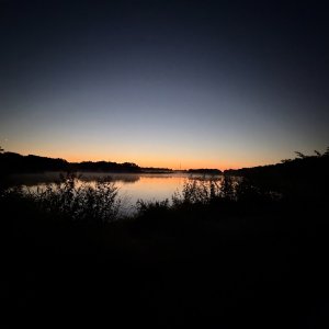 IMG_0409.jpeg