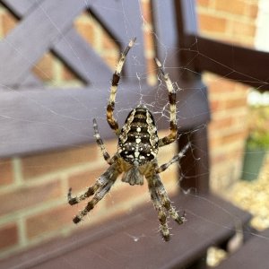IMG_0492.JPG