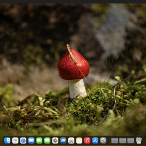 September 28th 2025 Desktop.png