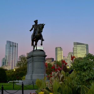 IMG_9055 copy.JPG