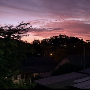 IMG_0648.jpeg