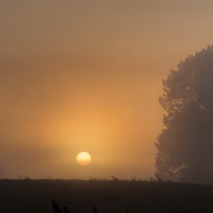 IMG_0149.jpeg