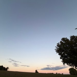 IMG_0137.jpeg