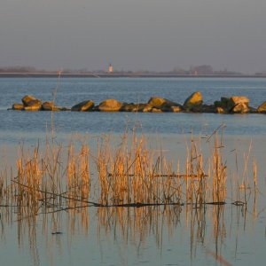 444C2030_20231228.jpg
