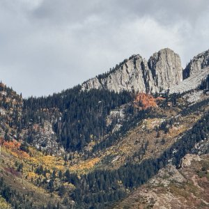 IMG_0661.JPG